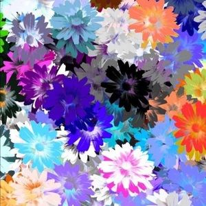 Meet your Posher, Stella